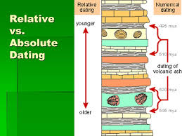 And how do other people get to know one another before committing, having casual sex, or something else? Evolution Ppt Video Online Download