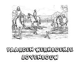 Werkboekje Paarden Bovenbouw Paarden Dieren School
