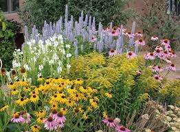 Dude Sustainable How To Plan And Plant A Low Water Landscape High Country Gardens Garden Planning Dream Garden