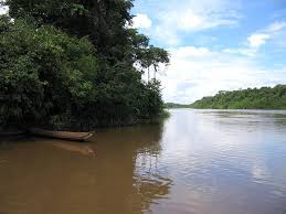 Reisedeals suriname ► flugpreis vergleich, rabatte & hotelempfehlungen ► 10% rabatt auf touren & beliebte aktivitäten ► urlaubsangebote entdecken! Suriname Sudamerikas Unentdecktes Paradies Reiseziele Ch
