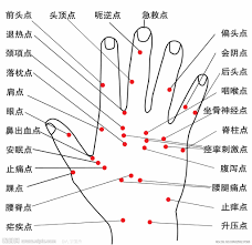 减肥不知怎么瘦？别慌，多按按手上的穴位_方式