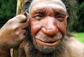 Neanderthals were a type of early hominid that lived on the planet earth between about 200,000 to. A Cave In Gibraltar The Neanderthals Last Stand Der Spiegel