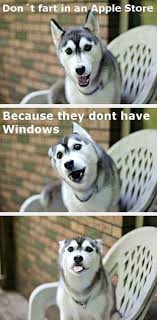 We did not find results for: 37 Funny Puns That Are So Bad They Re Simply Hilarious Funny Animal Jokes Funny Puns Funny Dog Jokes