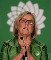 Elizabeth May urges Greens to have hope and not give in to despair