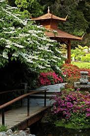 Pin By Corey Irwin Cyberpenguin On The J Panese G Rden Japanese Garden Japan Garden Asian Garden