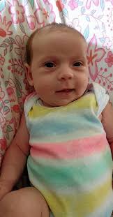 Mackay's adorable new residents