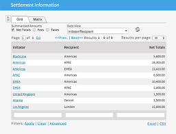 intercompany accounting journals and settlement software