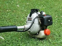 En esta página puedes descargar este manual de usuario y leerlo online. Carburetor Rebuild On Echo Grass Trimmer Part 1 2 Youtube