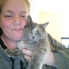 Free cats for adoption in Shoals area