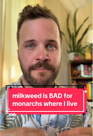 Monarch Butterfly Project