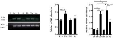 (a) representative traces of na + currents. Testing And 2 3 8 6 8 And L6e9 L6e9 Estradiol Stimulates Mitochondrial Biogenesis And And 2 3 8 6 8 And M1np M1np Testing And 2 3 8 6 8 And Bzmc Bzmc Testing And 2 3 8 6 8 And Mhro Mhro Testing And 2 3 8 And 2 3 8 6 8