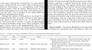 Image result for Triaspis macropteron