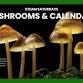 STEAM Saturdays: Mushrooms and Calendars event in Redlands, CA
