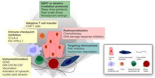 Signs that the end of life may be near. Pancreatic Ductal Adenocarcinoma Biological Hallmarks Current Status And Future Perspectives Of Combined Modality Treatment Approaches Radiation Oncology Full Text