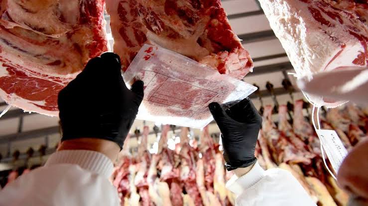 Argentina frente a una oportunidad histórica en la carne: qué puede cambiar  desde hoy