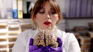 Snowdonia used for art therapy classes for mental health patients