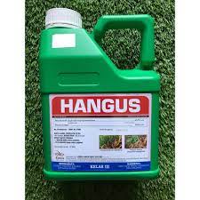 Jenis rumpu taman ini bisa bertahan dengan baik pada kondisi kering karena rumput ini berasal dari sabana afrika. 4l Hangus Glyphosate 41 Herbicide Racun Rumput Shopee Malaysia
