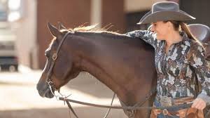 Organize your barn while keeping your saddles and tack supplies in quality condition. Diy Saddle Rack For Your Car Cowgirl Magazine