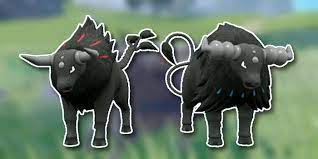 How To Get Blaze Breed And Aqua Breed Paldean Tauros in Pokémon Scarlet &  Violet
