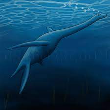 How To Draw The Loch Ness Monster, Draw Nessie, Step By Step, Drawing  Guide, By Alatriste - Dragoart