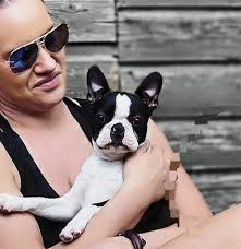 Bronheim Boston Terrier Kennel