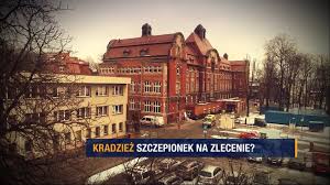 W parlamencie zasiada w radzie do spraw pokrzywdzonych przestępstwem przy ministrze sprawiedliwości. Raport Kradziez Szczepionek Na Zlecenie W Chorzowie Zniknelo 90 Dawek Polsat News