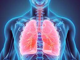 This growth can spread beyond the lung by the process of metastasis into nearby tissue or other parts of the body. Lung Cancer Non Smokers Can Get Lung Cancer And The Reasons Are Around Us The Economic Times