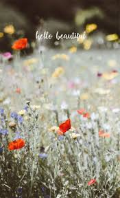 Maybe you would like to learn more about one of these? Poppy And Wild Flower Field Iphone Wallpaper Poppy Iphone Background