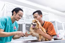 See how zoetis petcare products are helping so many pets live their best lives. 7 Dokter Hewan Di Jakarta Selatan Yang Terpercaya