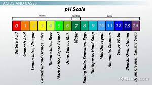 The Acid Base Properties Of Water Video Lesson Transcript Study Com