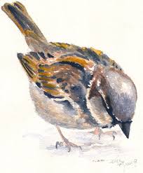 Sparrow Bird Drawing For Kids With Colour Paintings Of Sparrows Google Search Bird Art Birds Painting Bird Drawings
