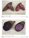 研究成果)濃い紫色で食味の良い紫サツマイモ新品種 「ふく ...