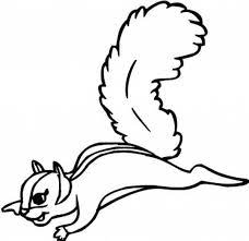 Once he is done coloring, show him some other squirrel pictures to relate with them. Flying Squirrel Coloring Page Download Print Online Coloring Pages For Free Color Nimbus