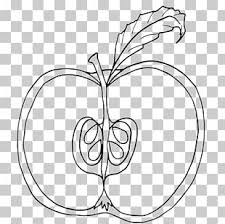 Amazon notebook doodles super cute coloring & activity book. Peace And Love Coloring Book Peace Symbols Flower Power Color Fun Coloring Book Perfectly Portable Pages Png Clipart Adult Area Artwork Black And White Body Jewelry Free Png Download