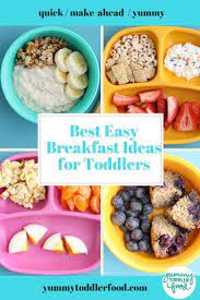 21 Healthy Toddler Breakfast Ideas Quick Easy For Busy Mornings Recipe Healthy Toddler Breakfast Toddler Breakfast Breakfast For Kids