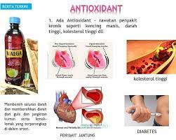 Ubat kencing manis sehingga sekarang belum lagi terhasil. Pin Auf Minuman Gaharu Botani