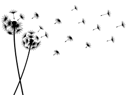 Suchen sie in stockfotos und lizenzfreien bildern zum thema pusteblume schwarz weiß von istock. Wandtattoo Pusteblumen Im Wind Wandtattoo De