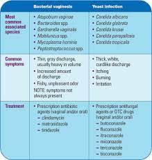 Bacterial Vaginosis Versus Yeast Infection Bacterial Vaginosis Yeast Infection Candida Albicans