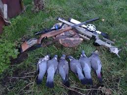 Many air rifles are powered by co2 cartridges which give each shot some serious force. Best Air Rifles And Pellet Guns For Survival 5 Reasons Why Rethinksurvival Com