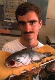 ScotCat Factsheets October 2000: Neoarius graeffei (Kner & Steindachner,  1867)