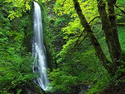 Weekends can be a bargain! The Injured Man On Molalla River Road Wyeast Blog