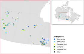 We did not find results for: Are Mosses Required To Accurately Predict Upland Black Spruce Forest Soil Carbon In National Scale Forest C Accounting Models Springerlink