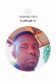 Aiwa nsx f9 lo mas destacado de este modelo son sus poderosos bajos  dinamicos con un toque de semi profundos .muy bonitos bajos.