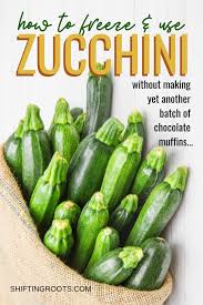 We shred our extra zucchini and summer squash and freeze it in plastic freezer bags. Pin On Recipes