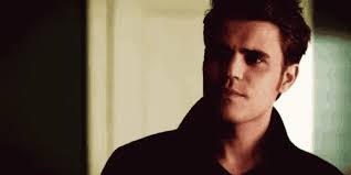 Stefan Salvatore Paul Wesley GIF