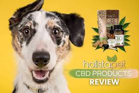 Some people even feel more alert when they take cbd. Jnrjpsowc Lupm