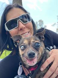 Both of my former outing pals Lego and Sergeant Fluff are