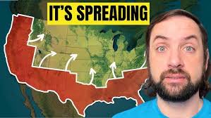 Owning Real Estate as a Hedge Against Inflation