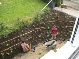 Hangsicherung Garten Gartentipps Garten Ideen