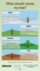 Pruning trees and shrubs in late summer is not recommended, but how late is too late? When Should I Trim Or Prune My Tree Common Pruning Times